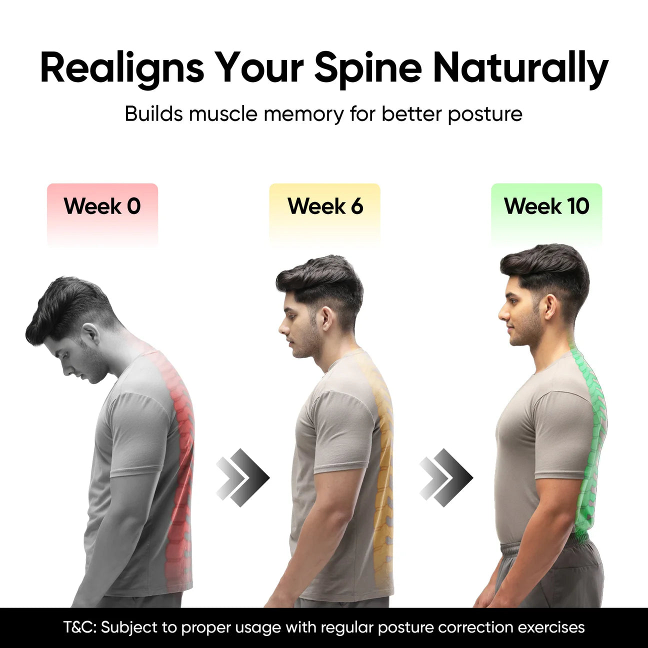 Posture Corrector Belt